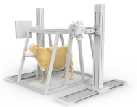 Double suspended pet DR